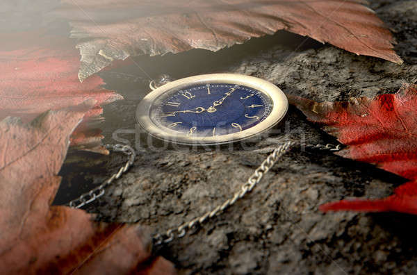 Pierdut ceas de buzunar lanţ imagine aur Imagine de stoc © albund