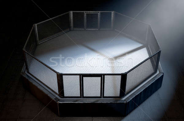 MMA Cage Night Stock photo © albund