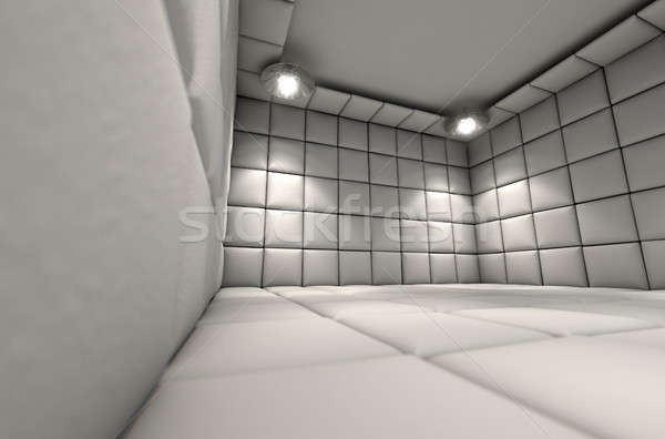 Padded Cell Stock photo © albund