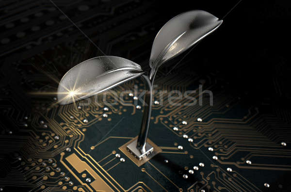 Macro circuite futuristic plantă 3d face vedere Imagine de stoc © albund