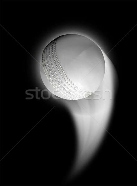 Swooshing Ball Stock photo © albund