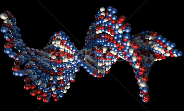 DNA Atom Stem Stock photo © albund