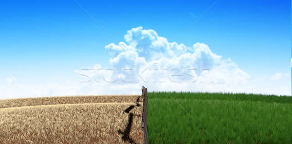 Green Pastures With Fence Stock photo © albund
