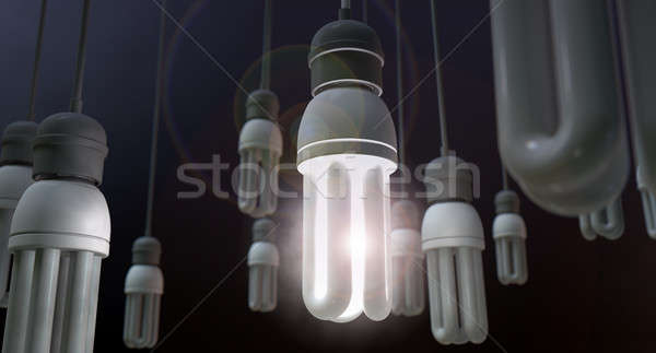 Leadership Hanging Lightbulb Stock photo © albund