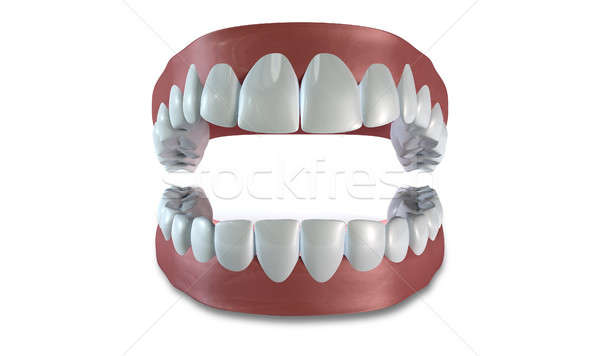 Teeth Set Open Isolated Stock photo © albund