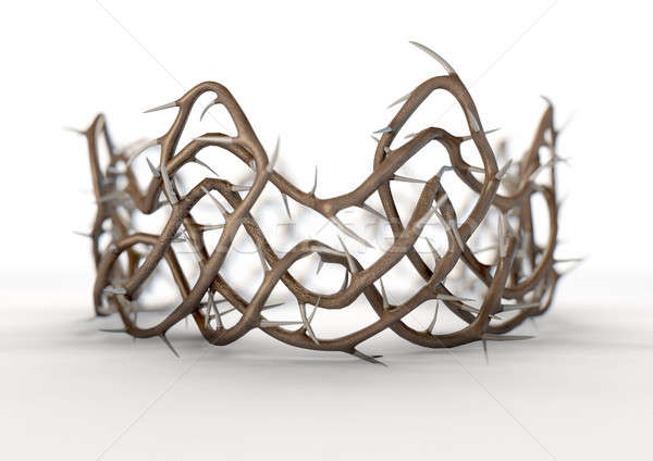 Crown Of Thorns Stock photo © albund