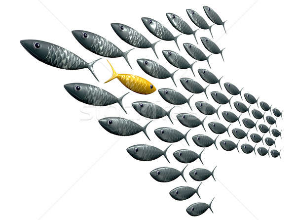 Fish School Arrow Shaped Against The Grain Perspective Stock photo © albund