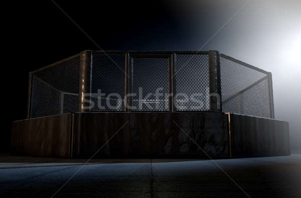 MMA Cage Night Stock photo © albund