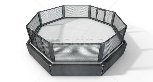 MMA Cage Stock photo © albund