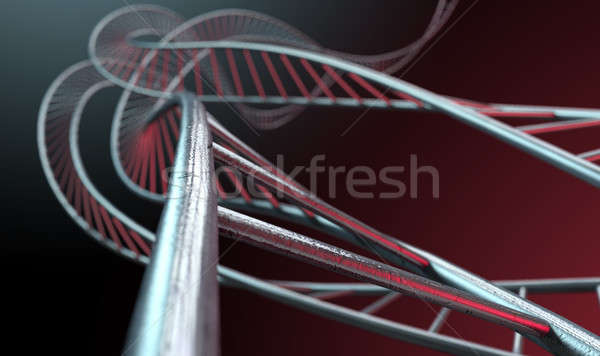 Spiral Genetics Strands Stock photo © albund