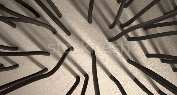 Mikroszkopikus haj gyökerek közelkép kilátás mintázott Stock fotó © albund
