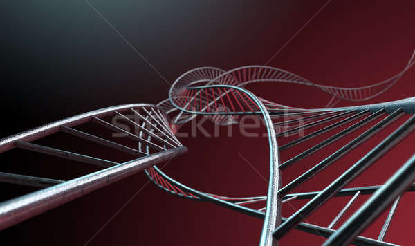 Spiral Genetics Strands Stock photo © albund