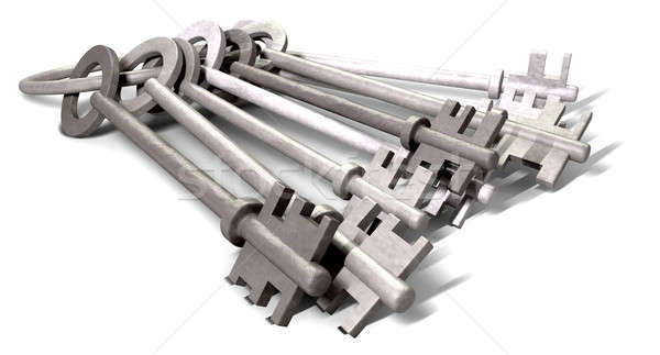Keys On A Hoop Laying Down Stock photo © albund