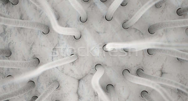 Mikroszkopikus haj közelkép kilátás mintázott bőr Stock fotó © albund
