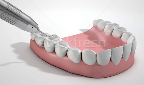 Dentists Probe Hook And Teeth Stock photo © albund