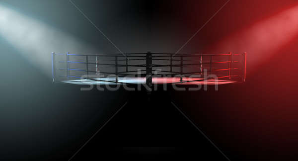 Boxing Ring Opposing Corners Stock photo © albund