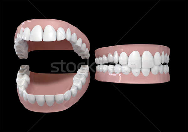 Teeth And Gums Open and Closed Stock photo © albund