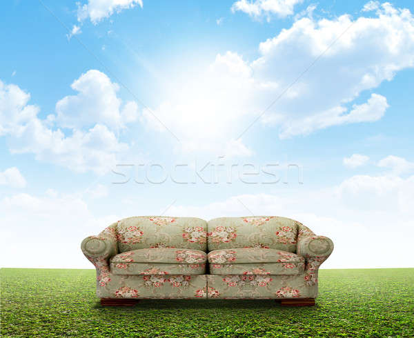 Floral sofá césped verde rosa fuera Foto stock © albund
