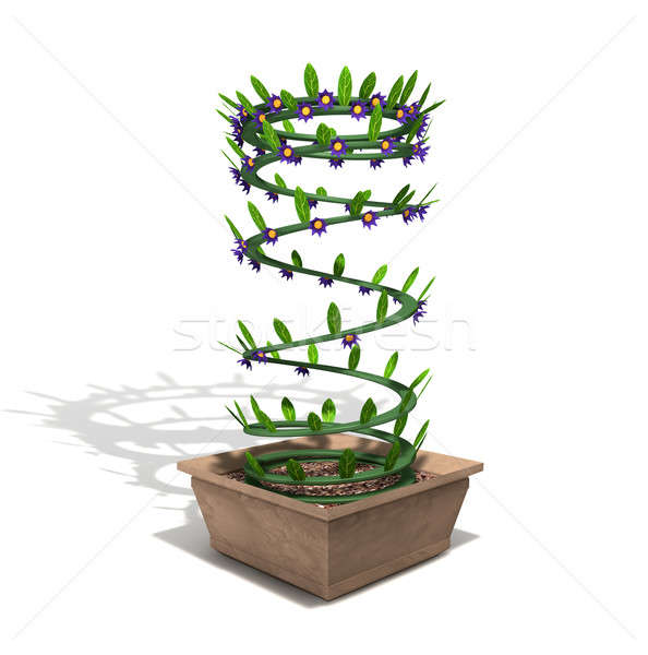 Fiore di primavera pot meccanica primavera fiori nuovo Foto d'archivio © albund