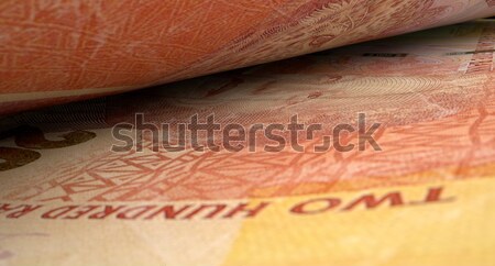 Separated Banknotes Close-up Detail Stock photo © albund