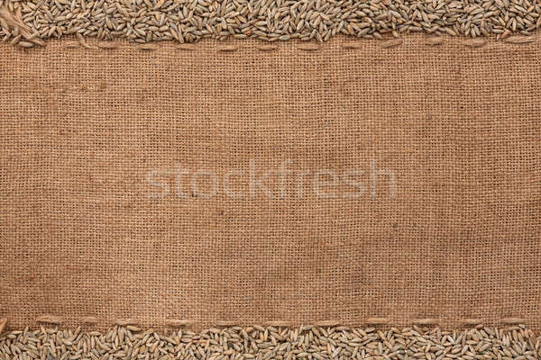 Rye lying on sackcloth  Stock photo © alekleks