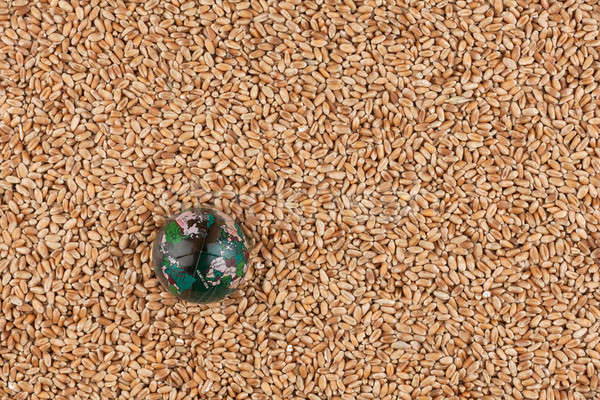 üveg földgömb búza mag gabona föld Stock fotó © alekleks
