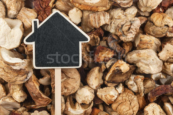 House pointer, the price tag lies on  dried  mushroom Stock photo © alekleks