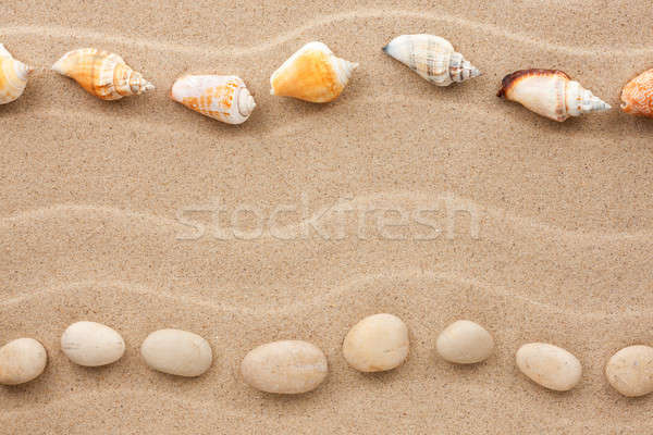 Two rows of stones and shells on the sand Stock photo © alekleks