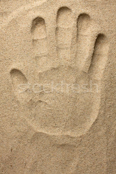 Hand Sand Impressum Sonne Hintergrund Sommer Stock foto © alekleks