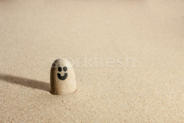 Smiling stone sticking out of the sand Stock photo © alekleks