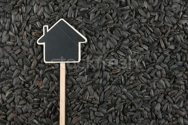 House pointer, the price tag lies on sunflower  seed Stock photo © alekleks