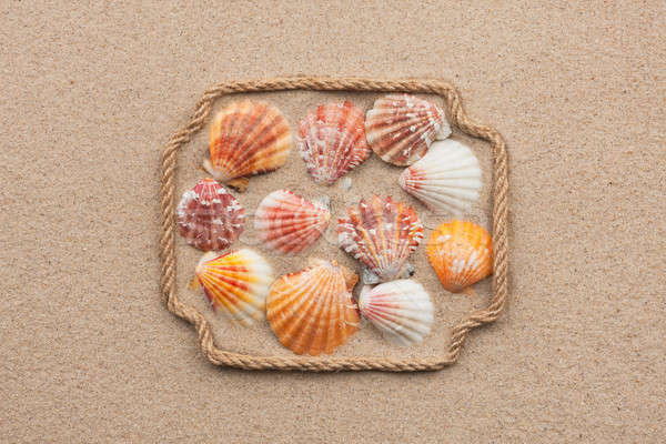 Beautiful frame made of rope and sea shells on the sand with tex Stock photo © alekleks