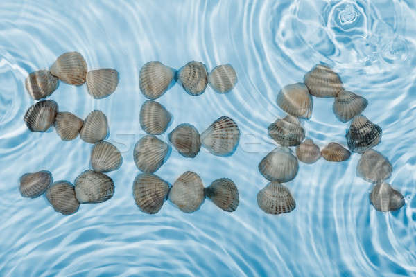 Word sea made ​​seashells in water Stock photo © alekleks