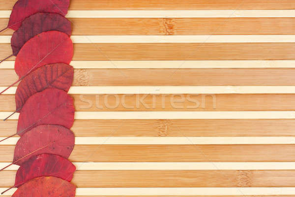 Czerwony bambusa puszka używany drzewo Zdjęcia stock © alekleks