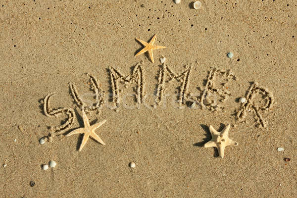 Word summer written by in the sand  Stock photo © alekleks