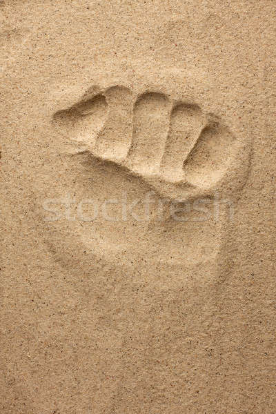 Impressum Hand Sand Sonne Hintergrund Sommer Stock foto © alekleks