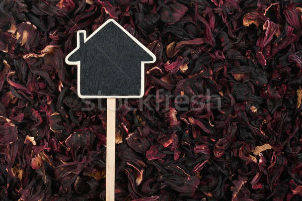 House pointer, the price tag lies on   hibiscus Stock photo © alekleks