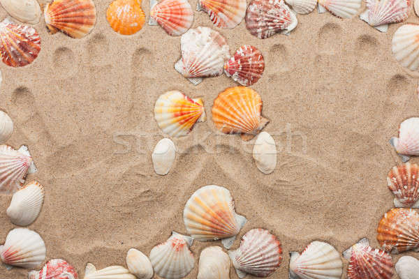 Imprint hands on the sand among the shells Stock photo © alekleks