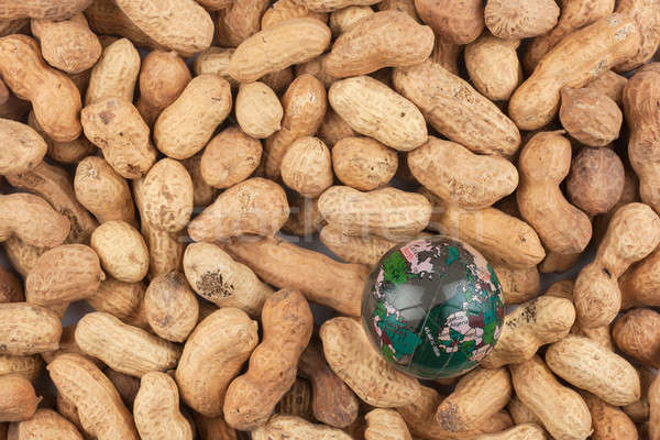 Glass globe lying on  peanut Stock photo © alekleks
