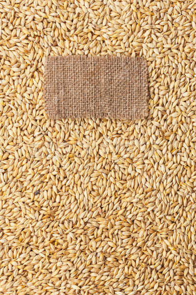 Tag made of burlap lies against the backdrop of barley Stock photo © alekleks