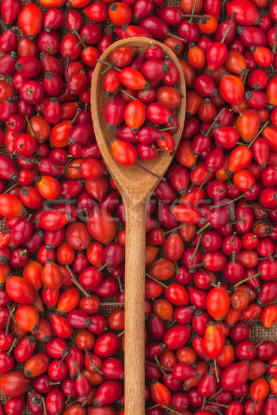 wooden spoon with wild rose  Stock photo © alekleks