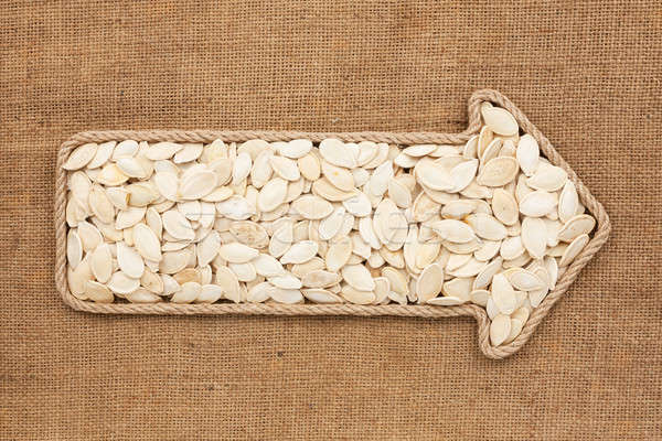 Pointer made from rope with  pumpkin seeds  lying on sackcloth Stock photo © alekleks