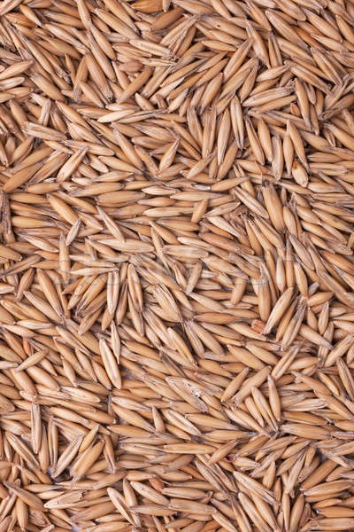 Oats texture, background Stock photo © alekleks