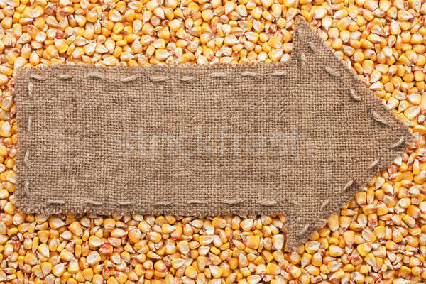 Stock photo: Pointer of burlap with place for your text, lying on a corn 