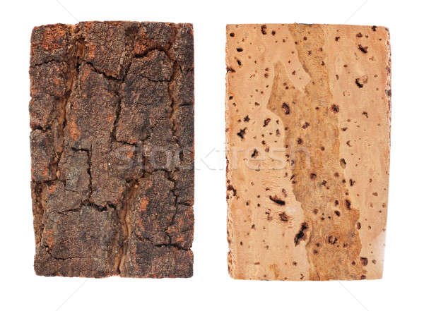 Schors hout kurk eiken geïsoleerd witte Stockfoto © alekleks