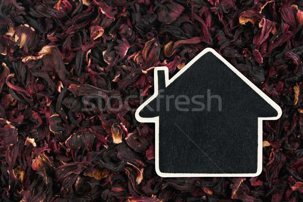 House pointer, the price tag lies on   hibiscus Stock photo © alekleks