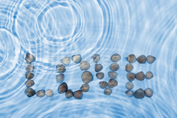 Word love made ​​of seashells in water Stock photo © alekleks