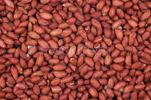Closeup on peanuts  Stock photo © alekleks