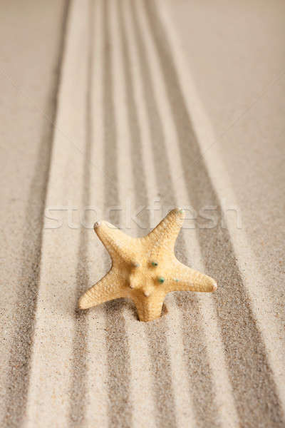 Foto d'archivio: Star · fuori · sabbia · può · usato · texture