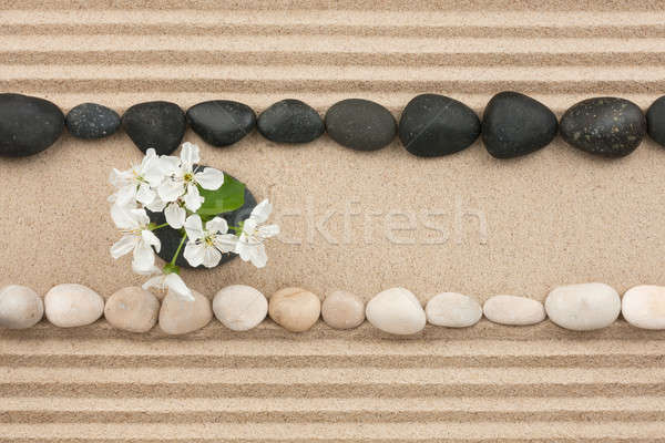 Flowers on the sand between the stones Stock photo © alekleks